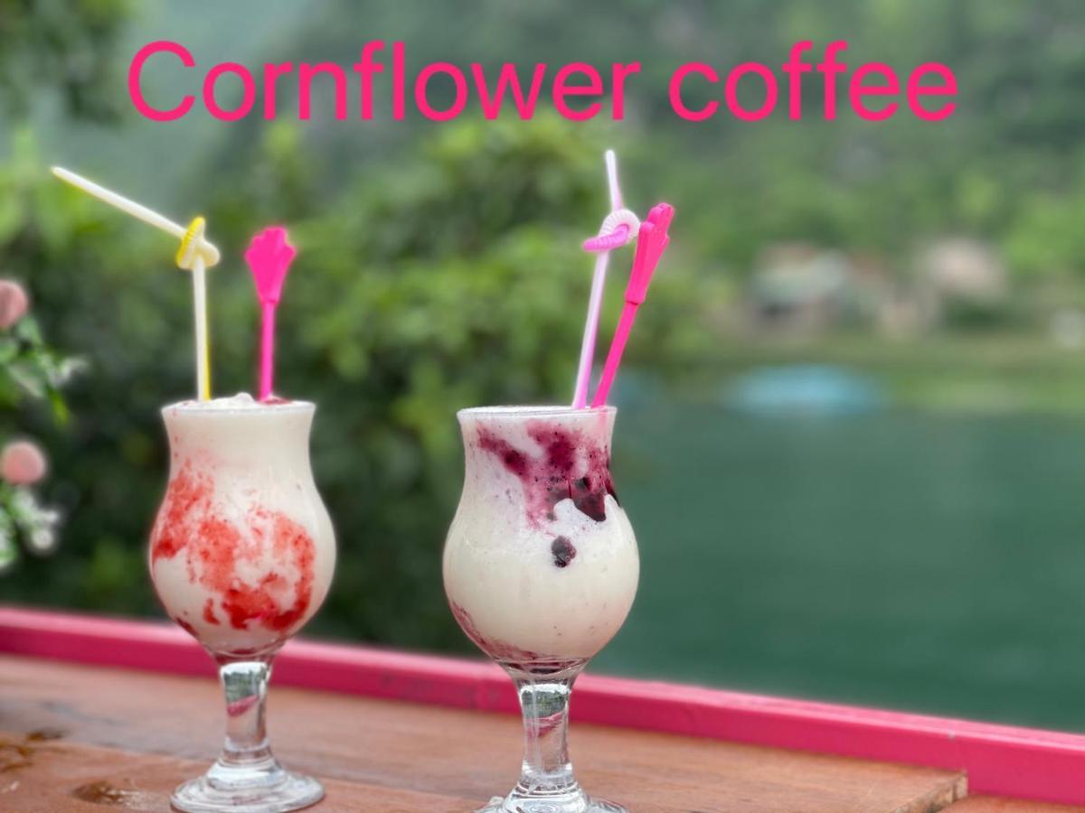 Cornflower Homestay Phong Nha Luaran gambar