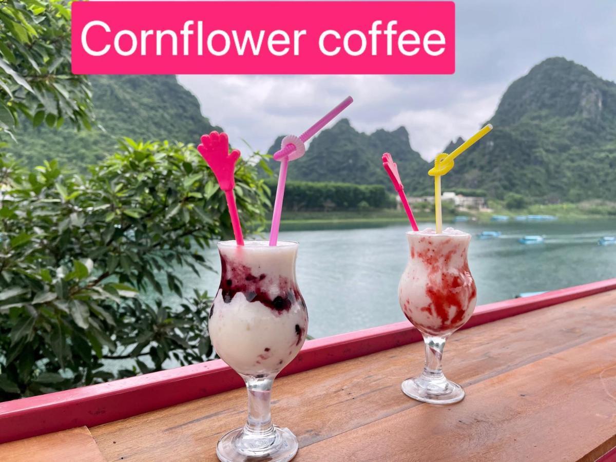 Cornflower Homestay Phong Nha Luaran gambar